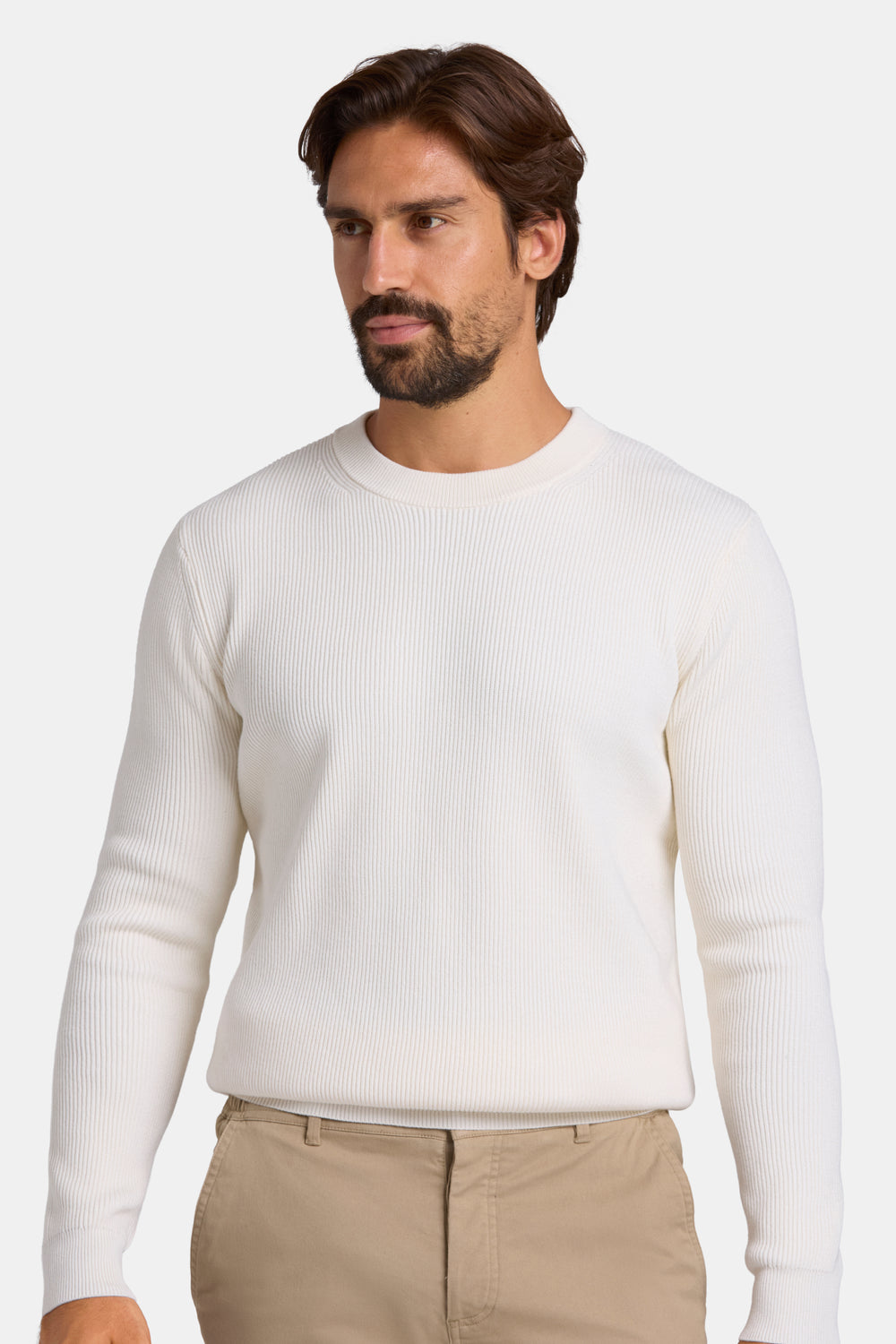 THE RENZO CREWNECK SWEATER